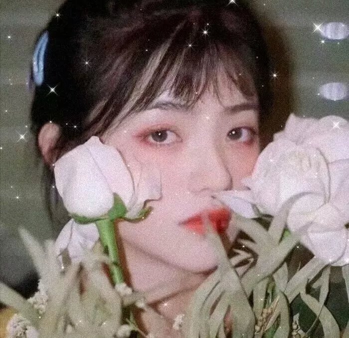 笨贼的祈祷
