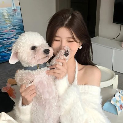 美的世界