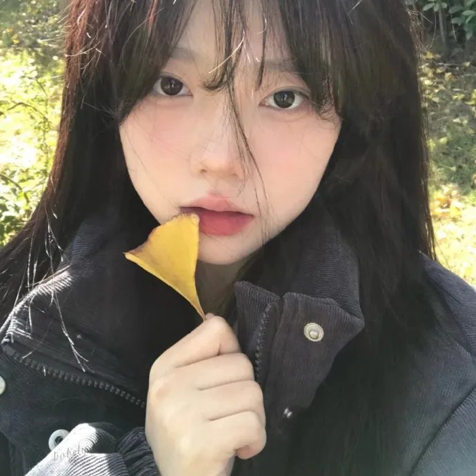 阳光姐妹淘