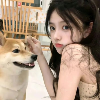 龙鱼追鲨令
